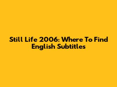 Still Life 2006: Where To Find English Subtitles